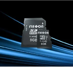 WORM Memory Card